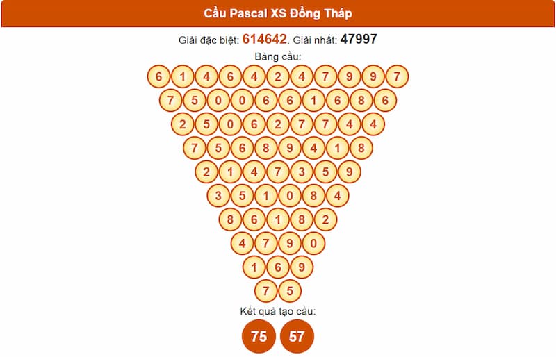 Cầu Pascal XS Đồng Tháp